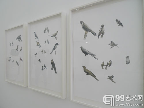 郭鸿蔚个展《收集者》现场