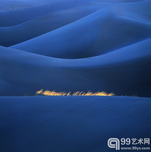 生生不息 隋雨山 摄.jpg