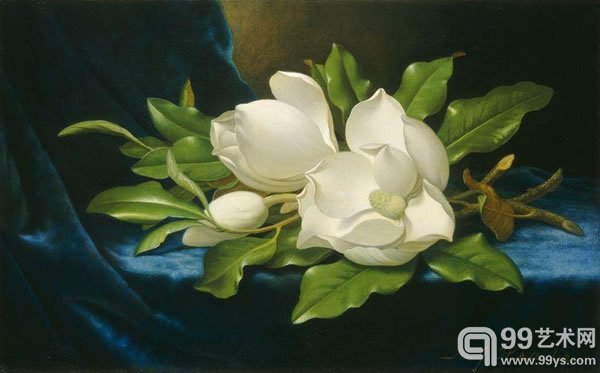 马丁·约翰逊·赫德（Martin Johnson Heade）作品《Giant Magnolias on a Blue Velvet Cloth》（1890）