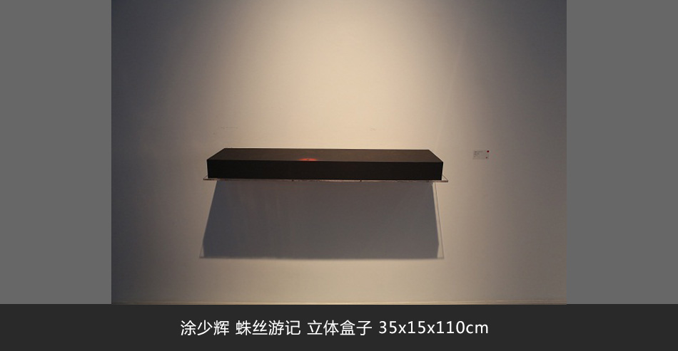 涂少辉 蛛丝游记 立体盒子 35x15x110cm